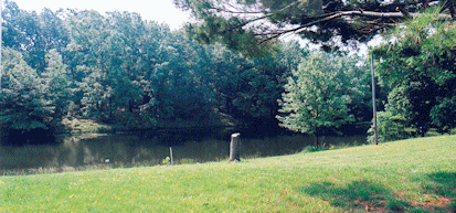 pond-woods